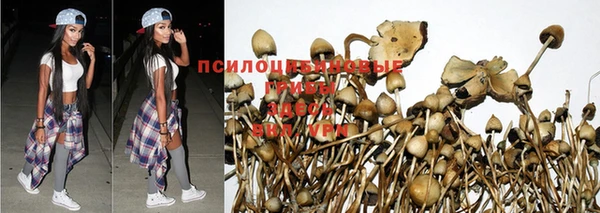 трава Майский