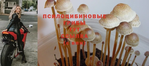 трава Майский